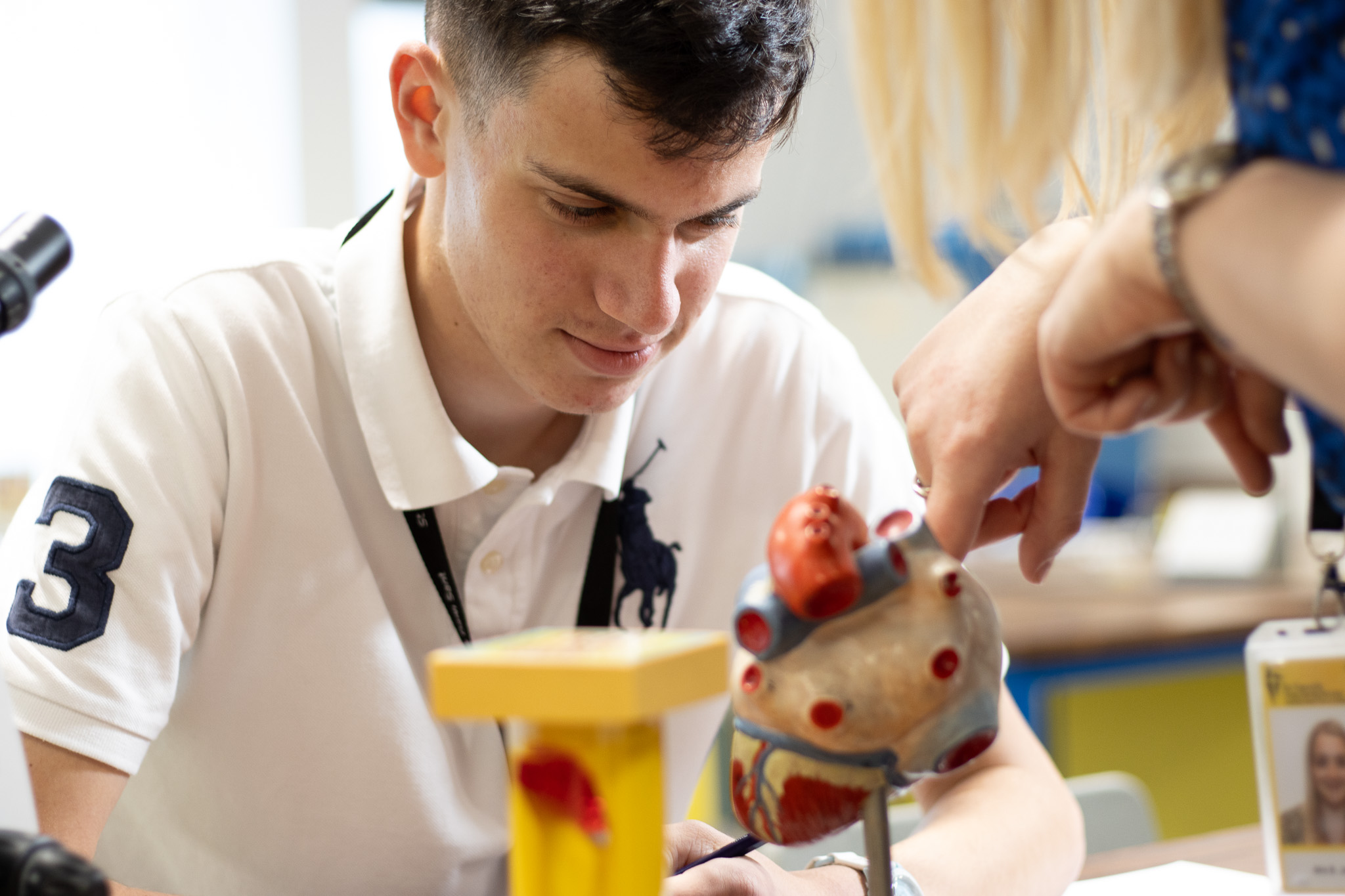 Biology A Level in Cardiff - Biology Course page for St David's Catholic Sixth Form College