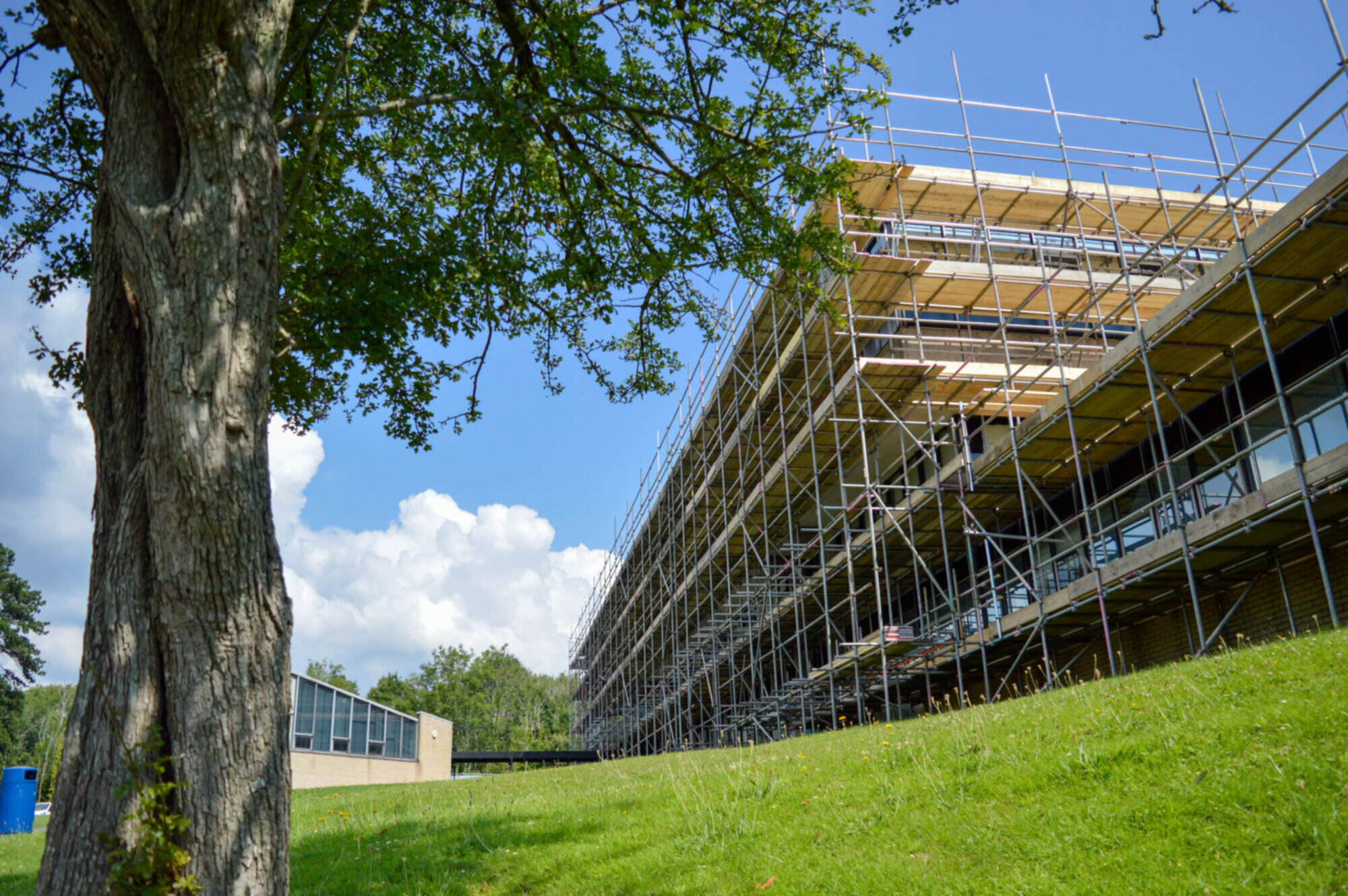 Scaffolding around college