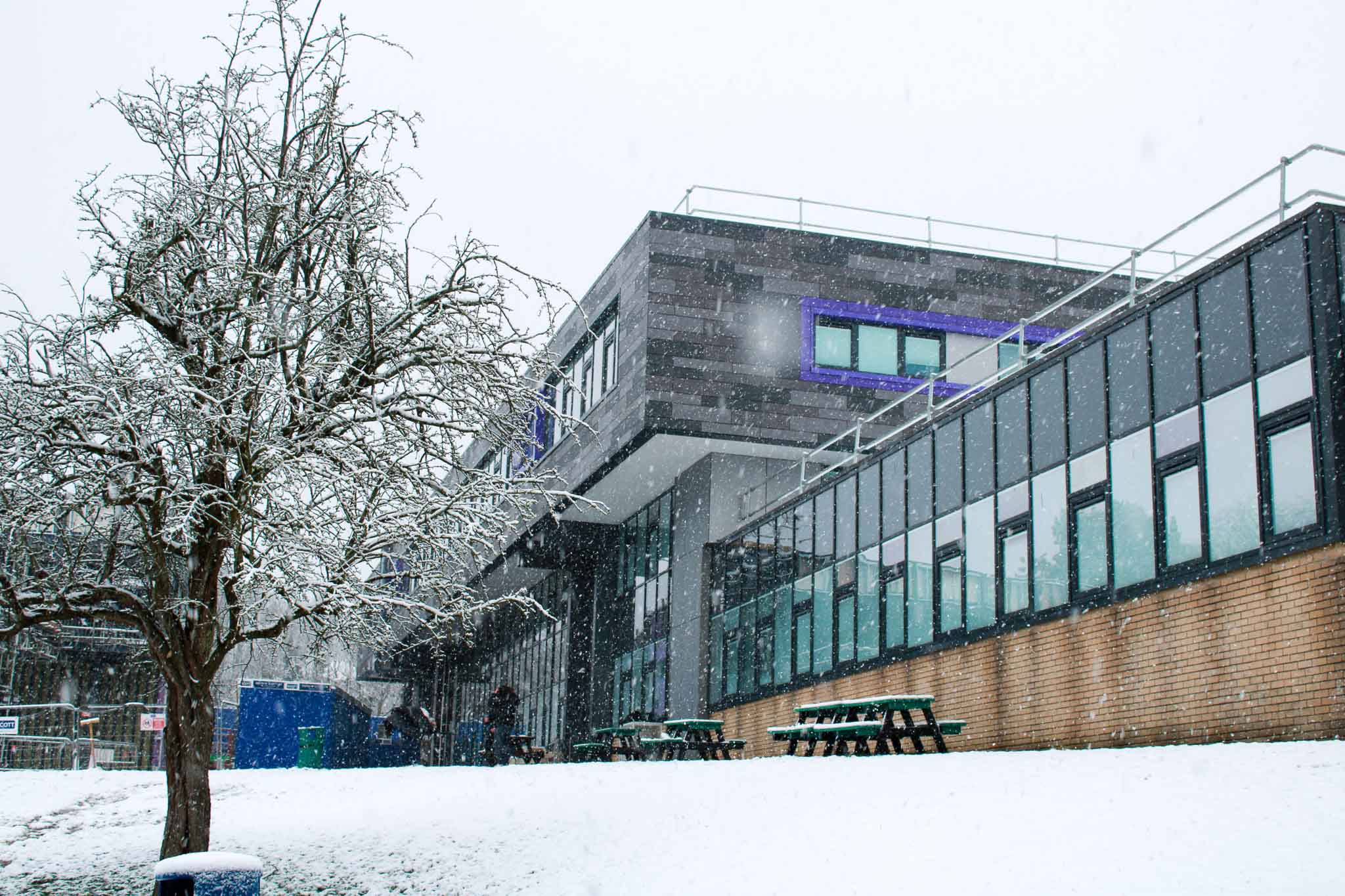 St David's College Christmas Opening Times