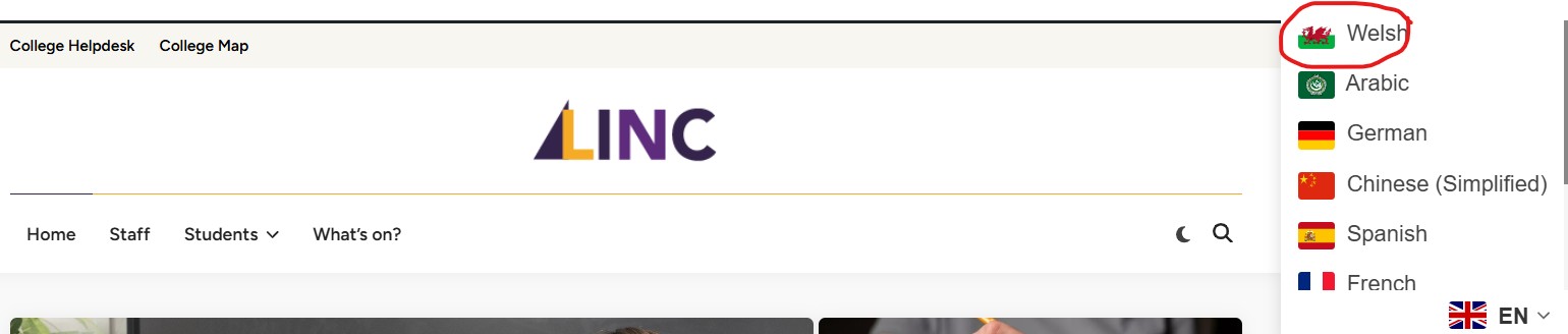 Screenshot showing welsh option on website
